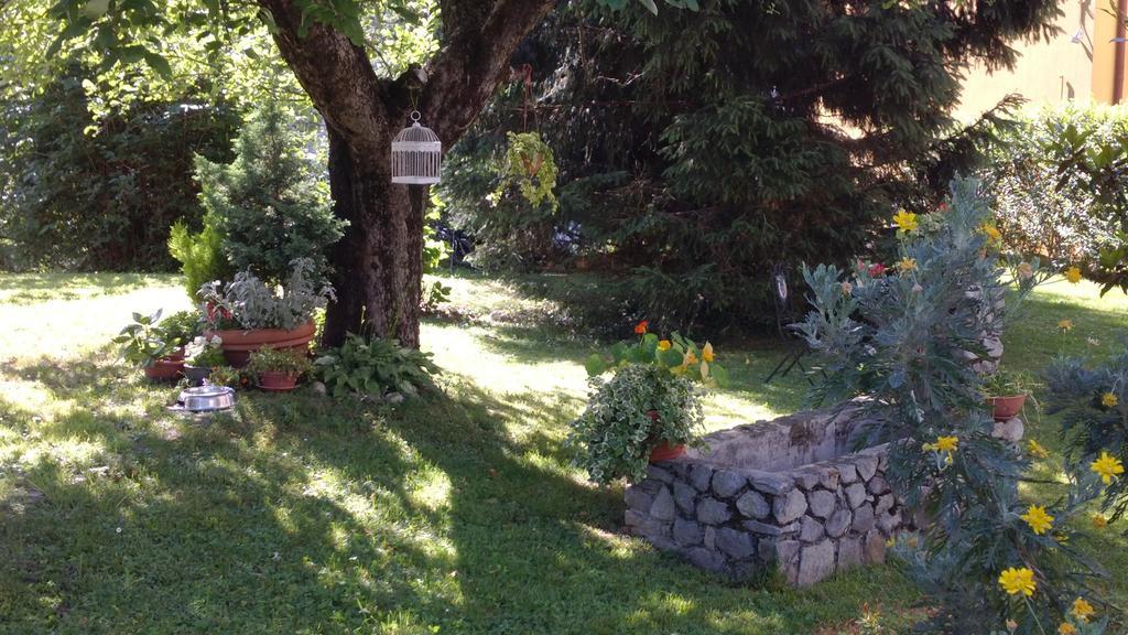 B&B I Pioppi Chiavenna Exteriör bild