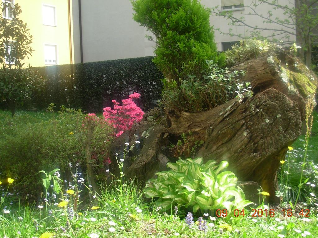 B&B I Pioppi Chiavenna Exteriör bild