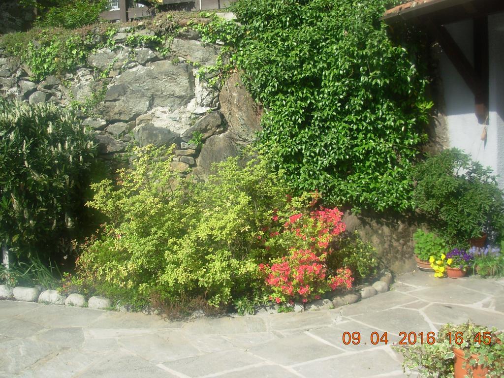 B&B I Pioppi Chiavenna Exteriör bild